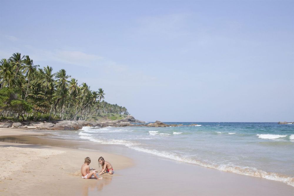Пальмы шри ланки. Тангалле Шри Ланка. Пляж Парадайз Шри Ланка. Пляж Гоямбокка Шри Ланка. Шри Ланка Тангалле Лагуна Парадиз.