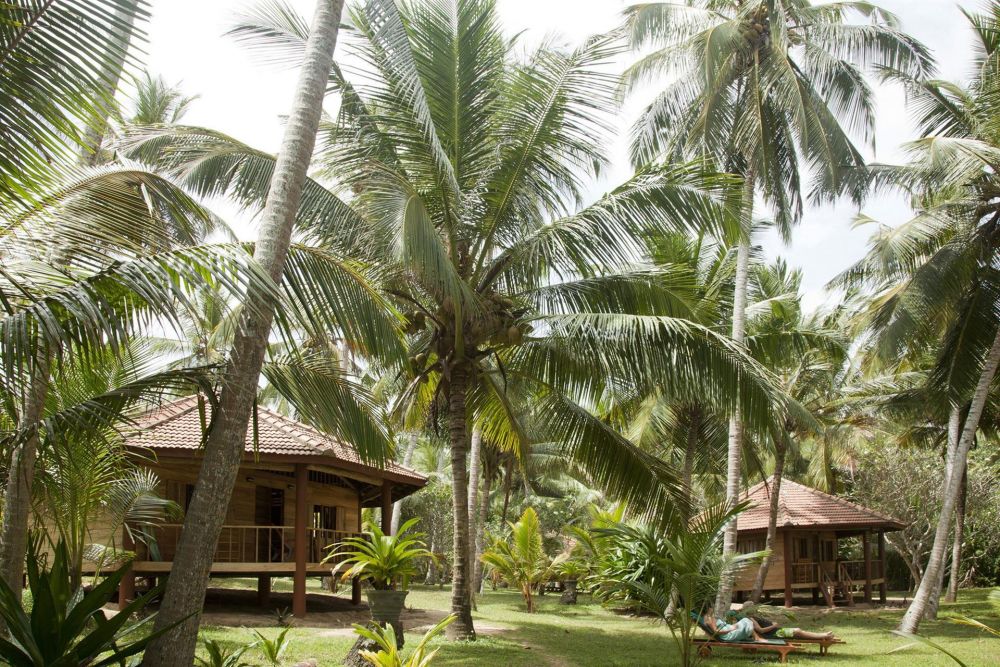 Palm paradise cabanas 2.